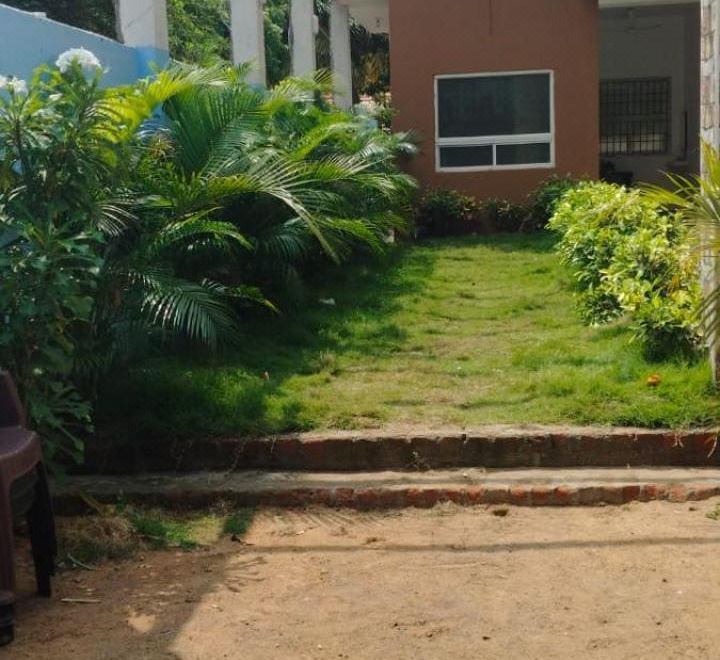 Garden and building exterior